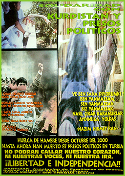 Solidaridad Kurdistan